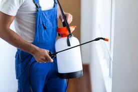 Best Fumigation Services  in Punta Rassa, FL